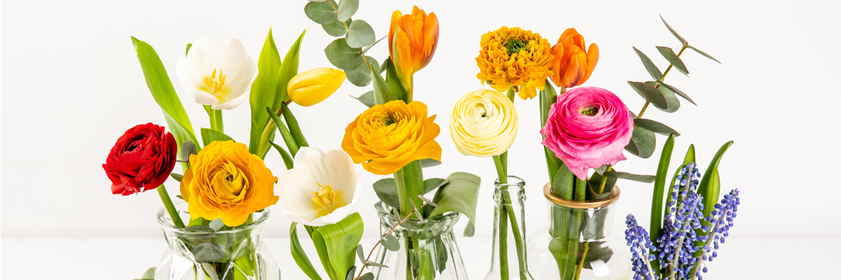 Frühling - verschiedene Blumen in Vasen