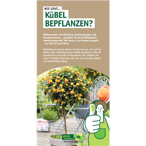 WIE GEHT... KüBEL BEPFLANZEN?