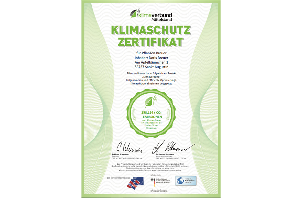 ALT-TAG TEST ALT-TAG TEST